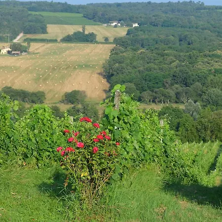 Bed & Breakfast Rouge Bordeaux *