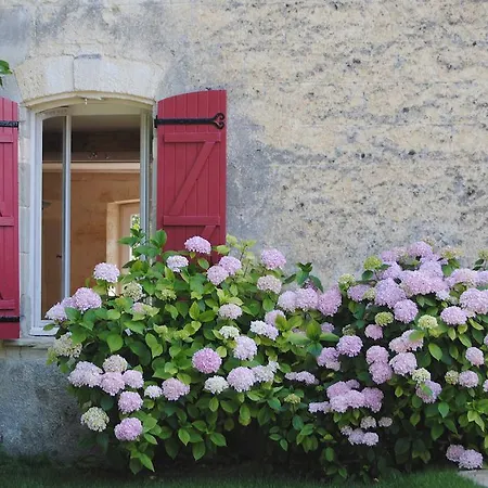 Rouge Bordeaux Auros