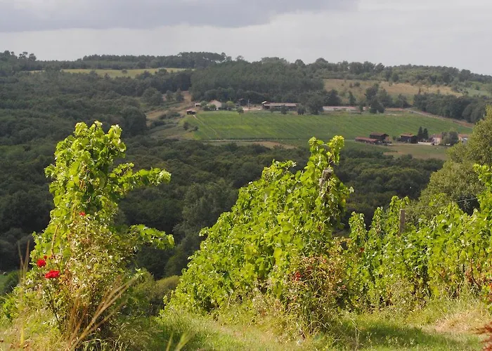 Rouge Bordeaux Auros